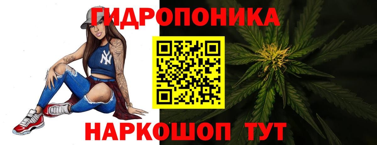 Конопля OG Kush Котовск